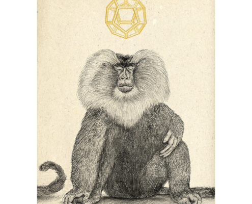 Samana e solidi platonici. Bestiario©AnnamariaAmura2023